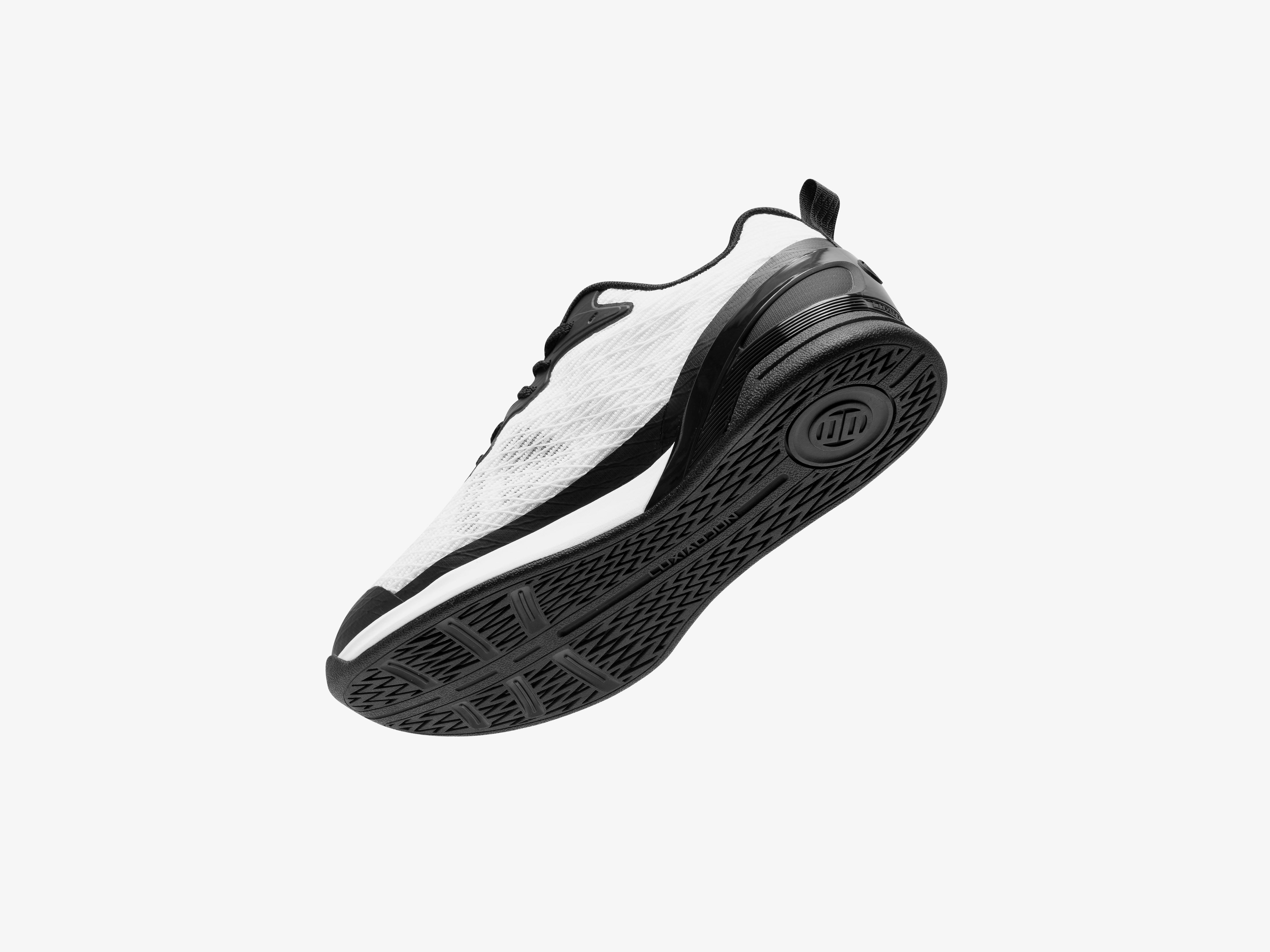 Black and white sneaker on a white background