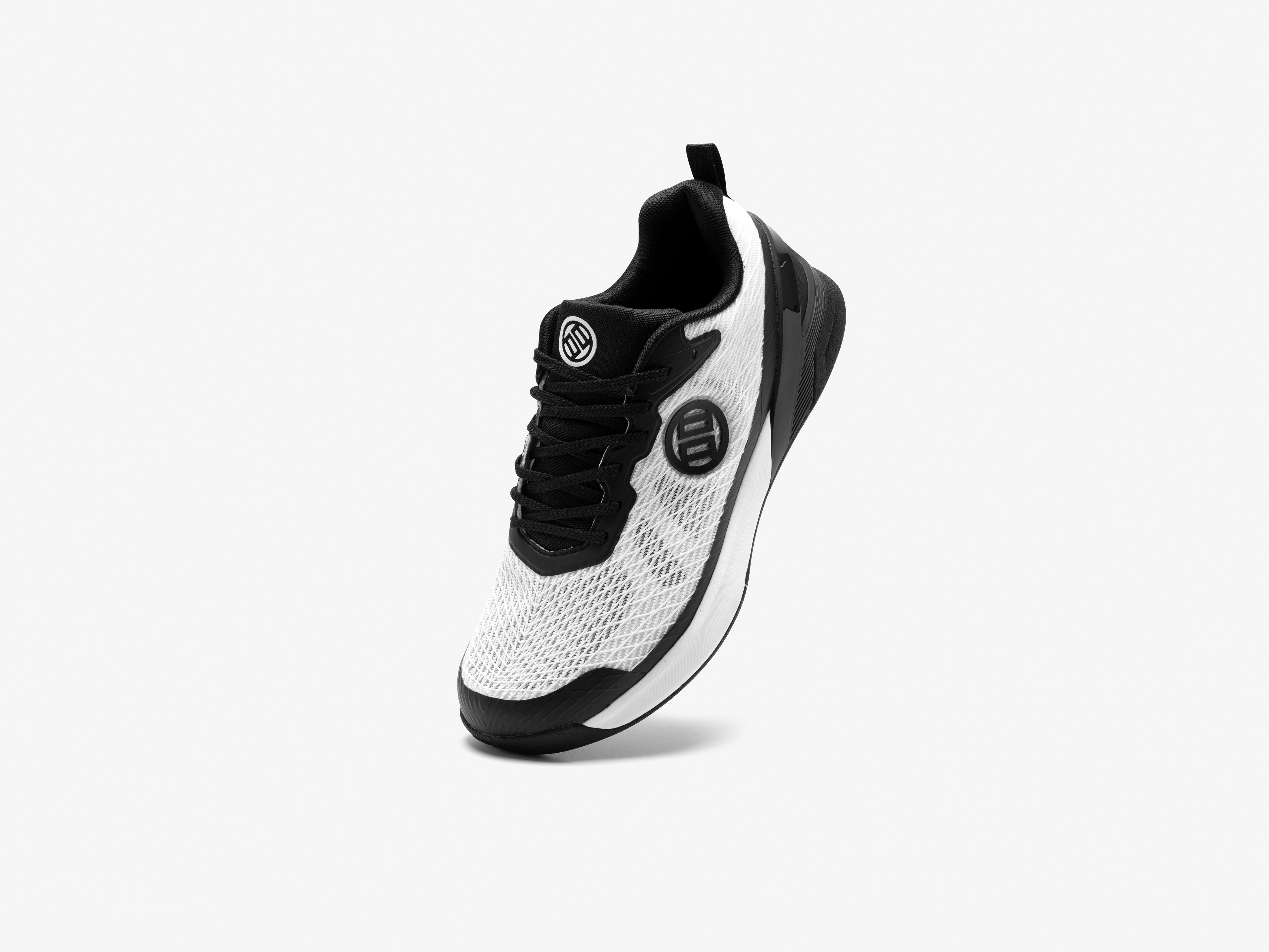Black and white sneaker on a light gray background