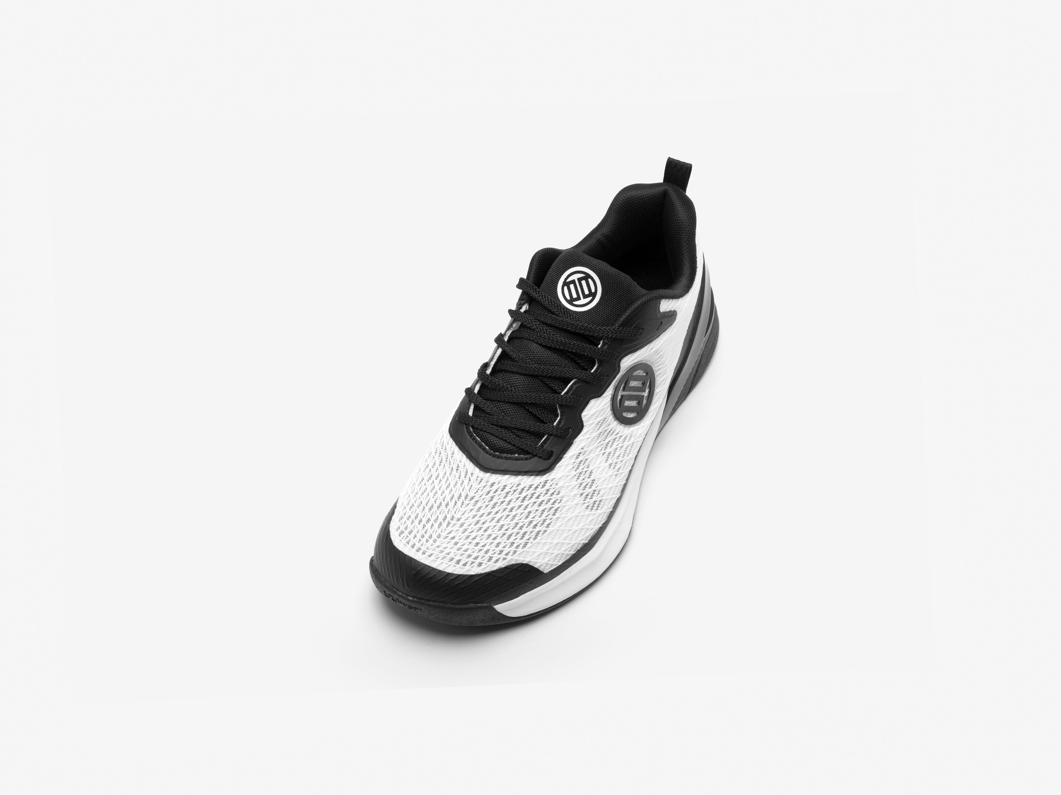 Black and white sneaker on a light gray background